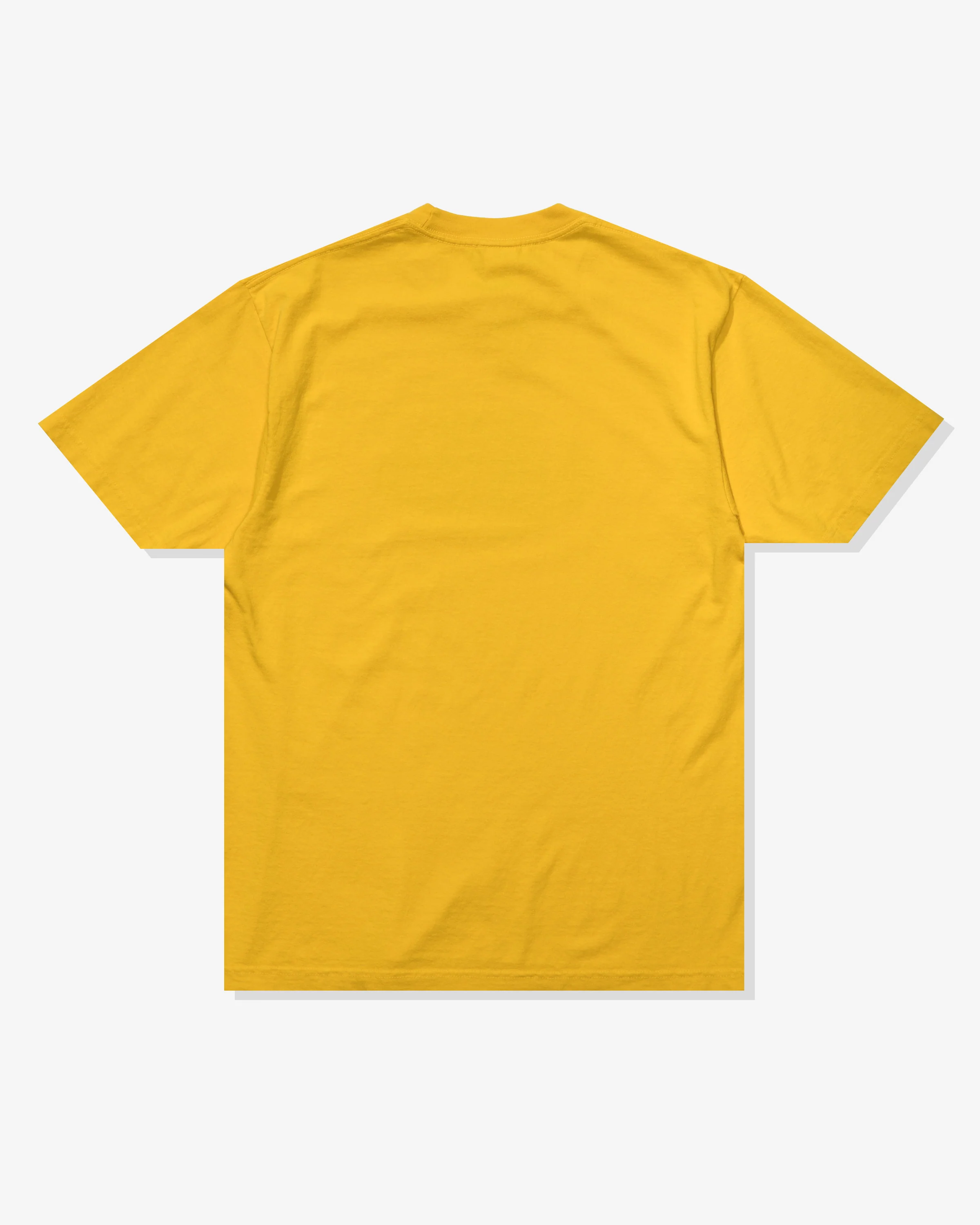 UNDEFEATED DIRTY STATE S/S TEE