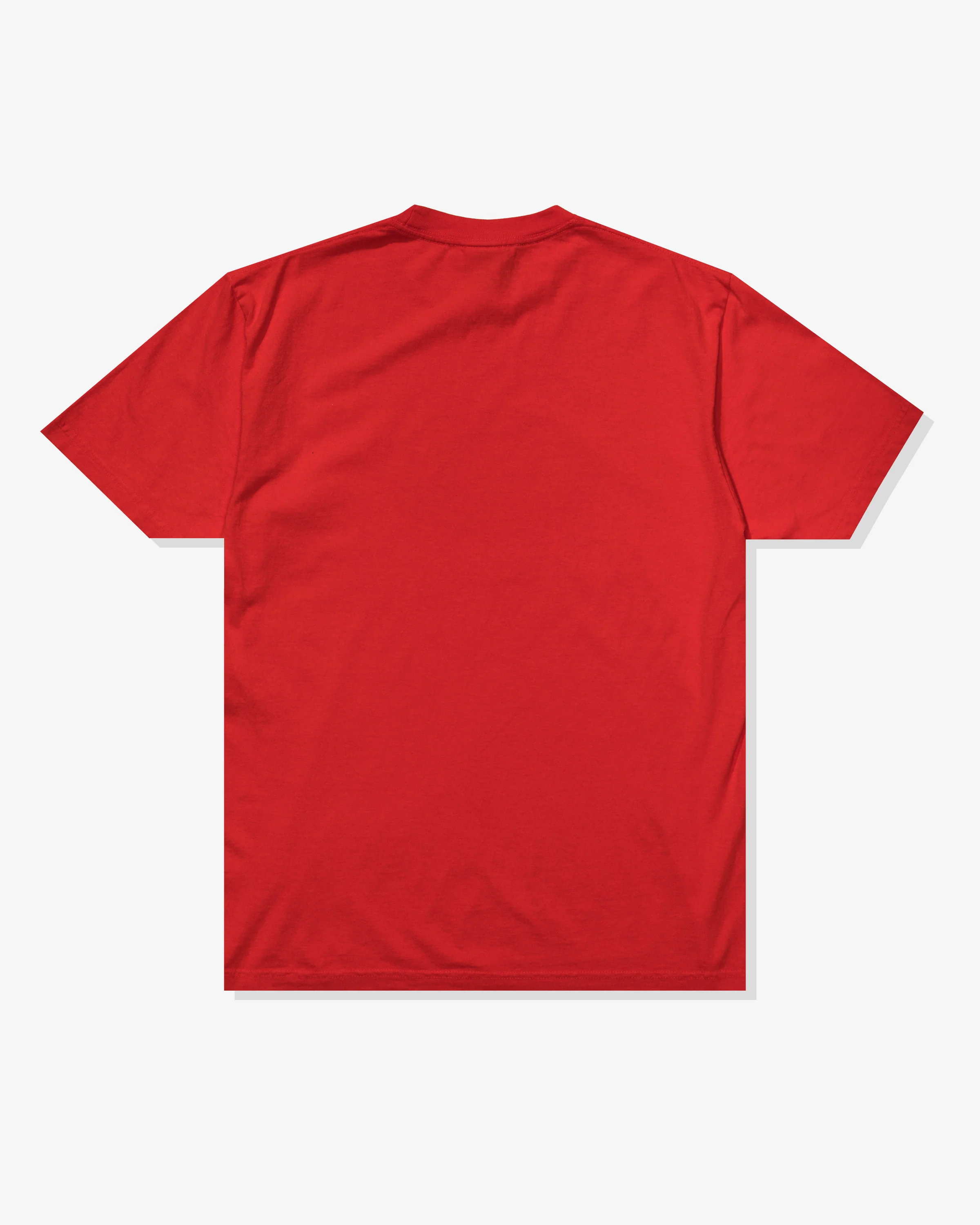 UNDEFEATED DIRTY STATE S/S TEE