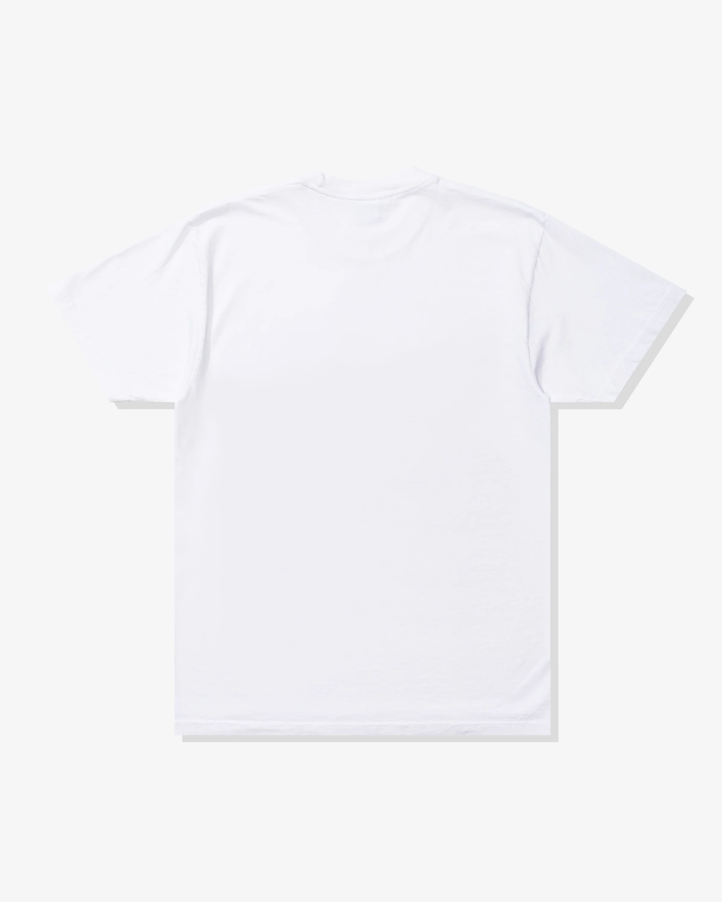 UNDEFEATED REGIONAL S/S TEE - LV