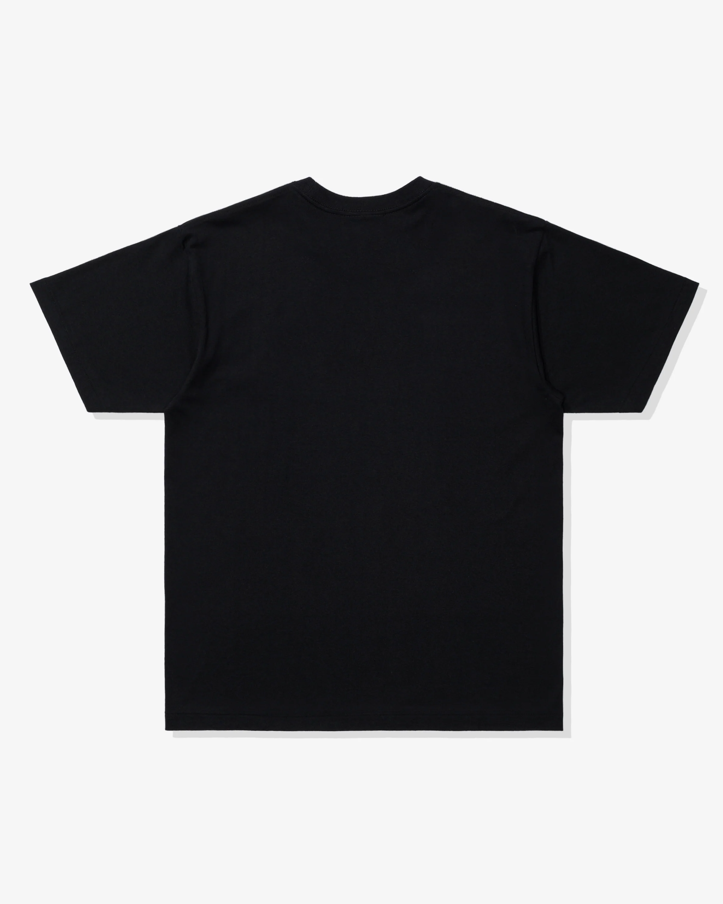 UNDEFEATED REGIONAL S/S TEE - PH